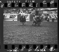 Benny Reynolds Steer Wrestling