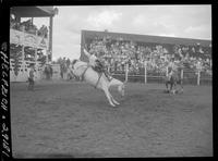 Harry Tompkins on Smokey