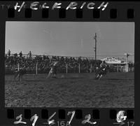 Conrad Amivisca - Hank Green Team Roping