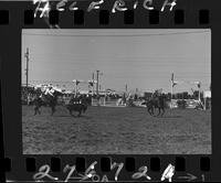 Jim Hudson - Bucky Bradford Team Roping