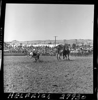 John Ragsdale Calf Roping