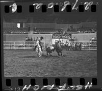 Walter Scott Steer Wrestling