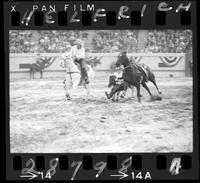 John W. Jones Steer Wrestling