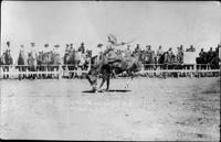 Rose Henderson riding Gin Fiz, Cheyenne, Wyo.