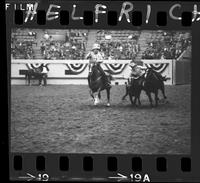 Billy Hale Steer Wrestling