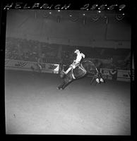 Hugh Chambliss on Brown Jug  (Big Sky)