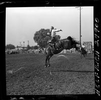 Clyde Longfellow on hanna Roundup  (U)