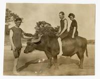 [Man and woman on a water buffalo with another man standing in front of buffalo]