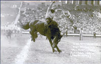 C. M. Montgomery On "Buzzar" Tex Austin Rodeo, Chicago, 1926