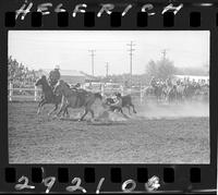 Alan Keller Steer Wrestling