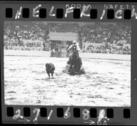 Bill Barnes Calf Roping