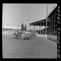 George Prescott - Stub Johnson Team Roping