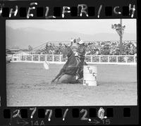 Wendy Potter Barrel Racing