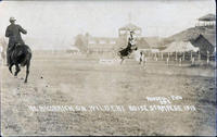 A. E. McCormick on Wild Cat Boise Stampede 1913, 292