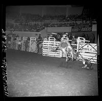 Don Willis off #89
