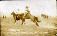 Jay Miller on Deadman Boise Stampede 1913 #261