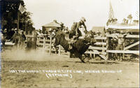 Ho! The Guard! Throw a Life Line, Weiser Round-Up