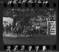 L.W. Dewitt Steer Wrestling