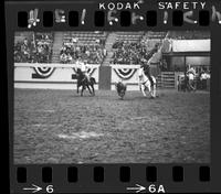 Jack Branham - Al Gastelum Team Roping