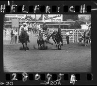 Don McBride Steer Wrestling