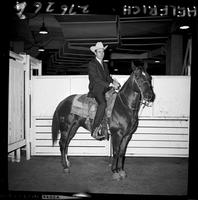 Harley May & Walt's horse