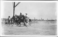 Leonard Stroud trick roping three riders and horses while standing on his head