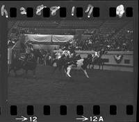 Harold Mattos - Bucky Bradford Team Roping