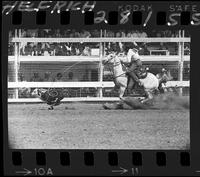 J.E. Teague Calf Roping