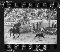 Junior Garrison Calf Roping