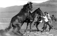 Saddling up at the Missoula Stampede