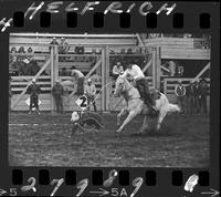 Dick Powers Calf Roping