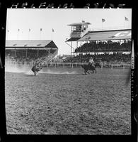 Bill Murry Steer Roping