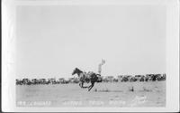 Leonard Stroud Trick Riding