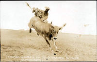 Leonard Womach on Wild Brahma Steer