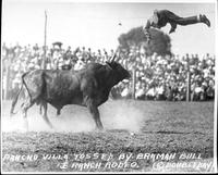 Pancho Villa Tossed by Bramah Bull, JE Ranch Rodeo