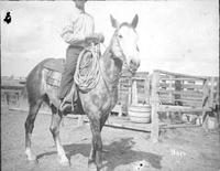 Cowboy riding horse in corral