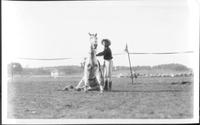 [Horse sitting on the ground with Leonard Stroud]