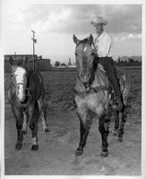 Cotton Lee with two horses
