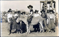 Cowgirls in Bucking Contest Weiser Round-up