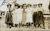 Seven cowgirls & a horse