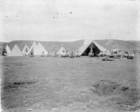 Cowboys in camp