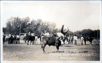 Pat Henry Bulldogging Black Hills Round-Up July 3-4-5 1933