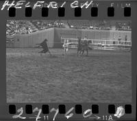 Merrill Bond Calf Roping