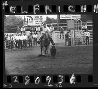 Frank Mays Calf Roping