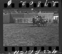 Tater Decker Steer Wrestling