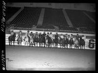 15 Bull Riders, Mounted