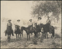 [3 cowboys and 2 cowgirls on horseback under a tree]