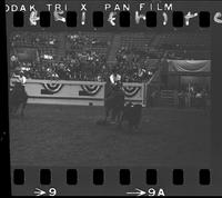 John Paboojian - Jr, Muzio Team Roping