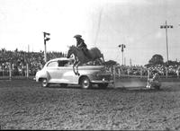 [Unidentified cowgirl jumping horse over automobile]