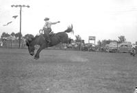 [Unidentified cowboy on saddle bronc with fence & automobiles behind]